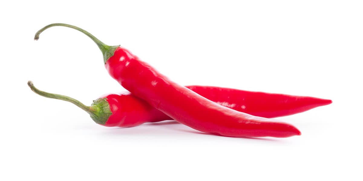 Red chili peppers