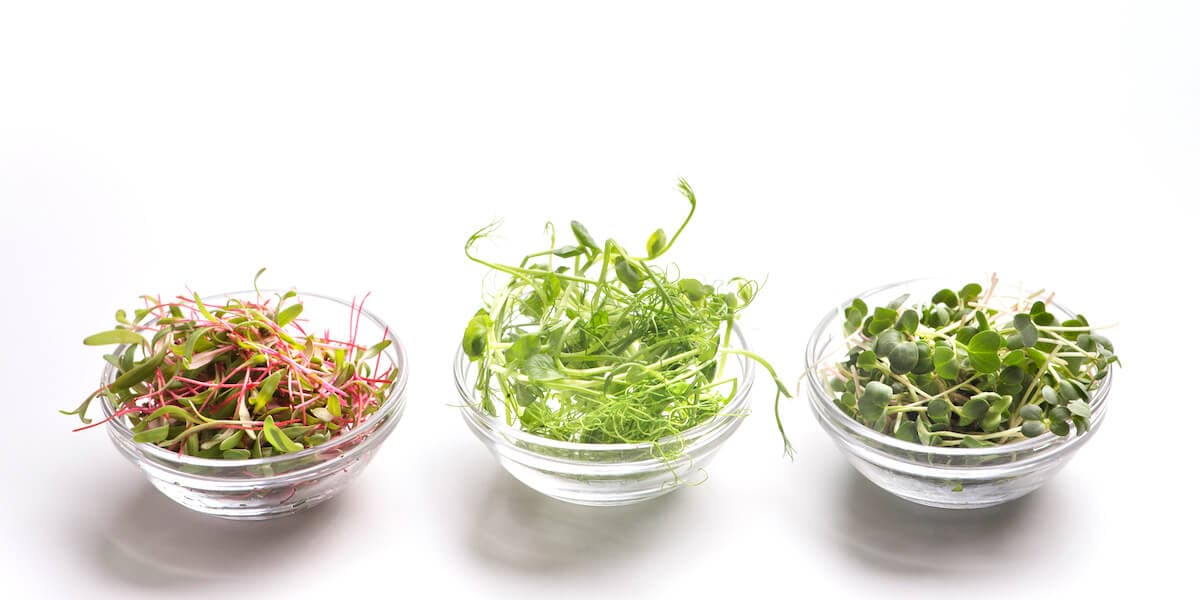 Sprouts