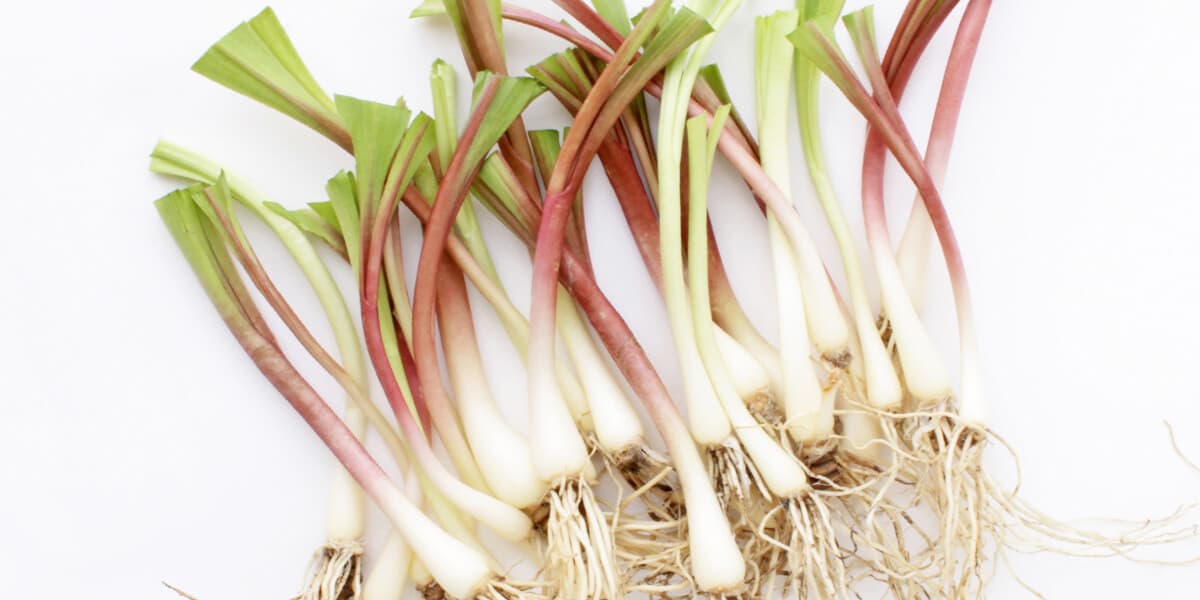 Ramps