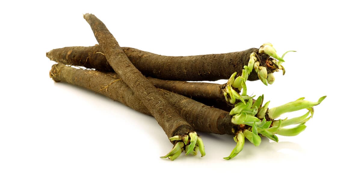 Salsify