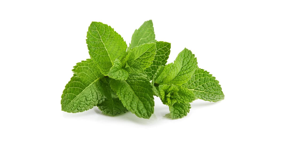 Peppermint