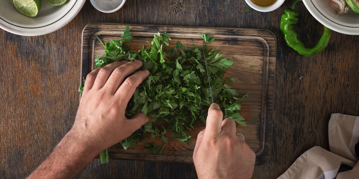 cut-cilantro-1