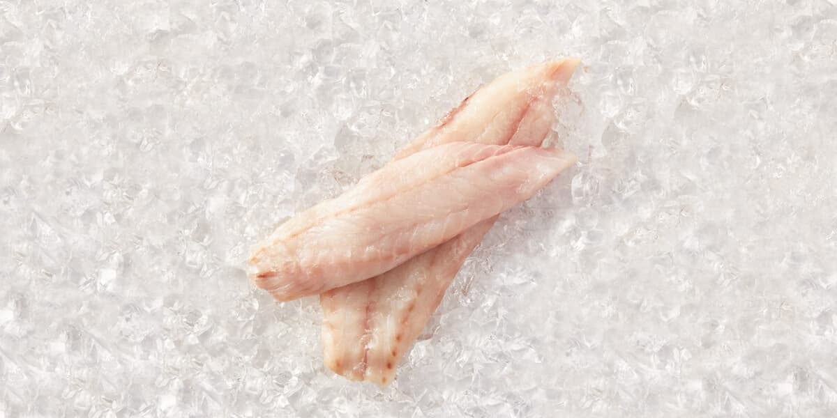 Rockfish