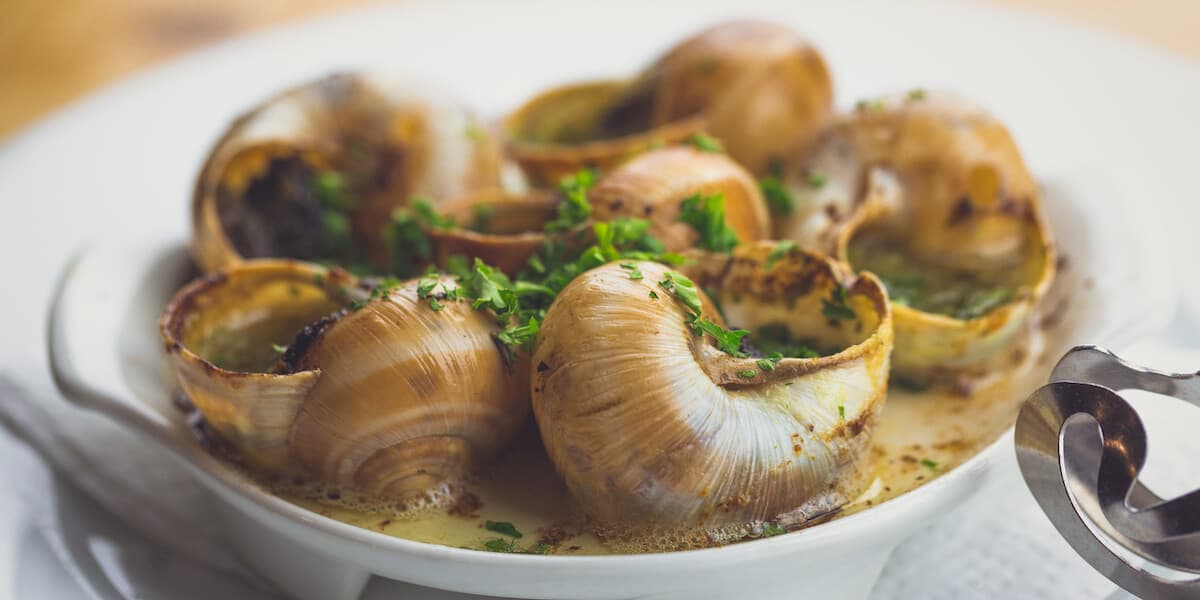 snail