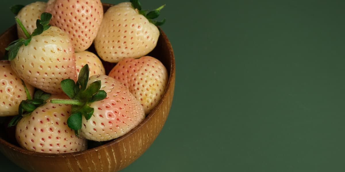 Pineberries