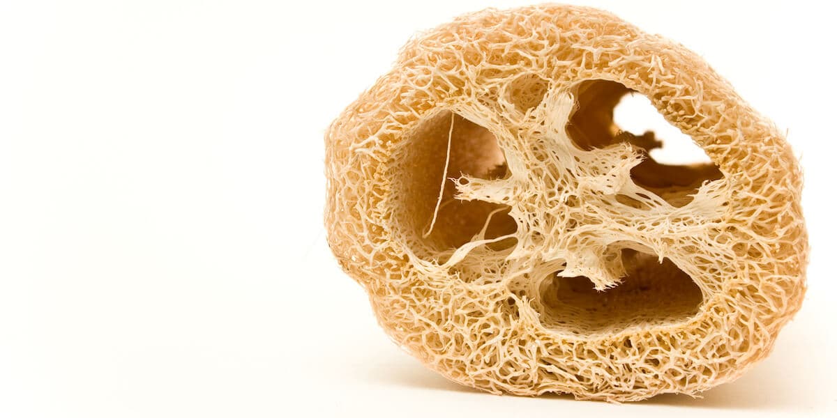Loofah