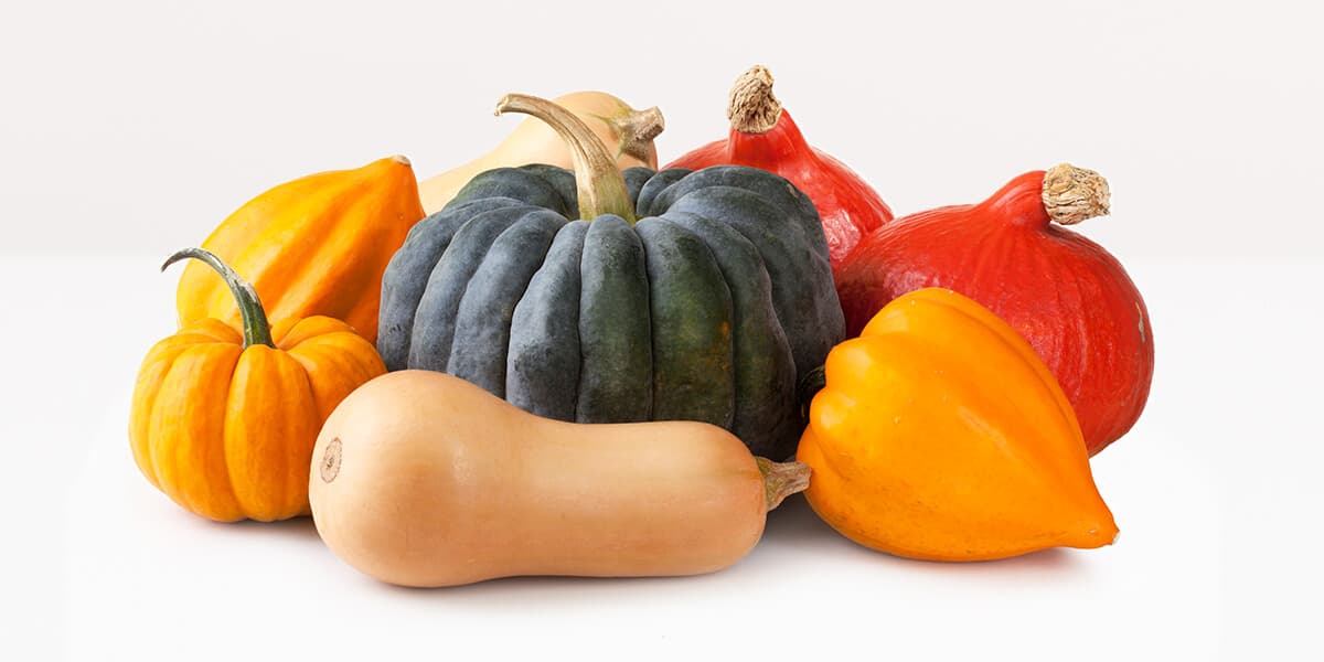 Squash