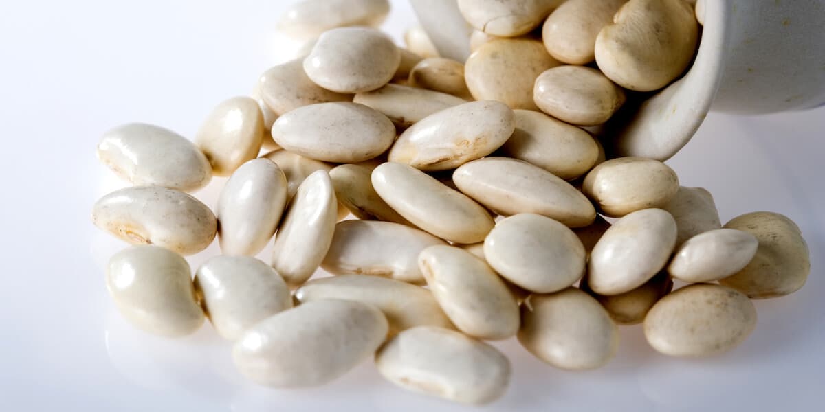 Large white beans